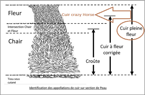 cuir pleine fleur crazy horse
